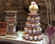 11822709_892330197508630_782469768324940448_n