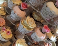 11866320_892330274175289_2452021220971198397_n