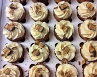 17523037_1430165120391799_8646765943189518578_n