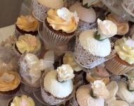 17523219_1435777369830574_454761976529918725_n