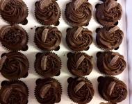 17796729_1430165113725133_903059642352409519_n