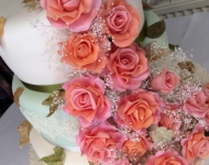 11251821_943451369063179_3118622082128132710_n