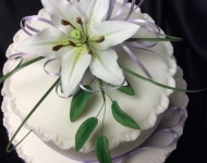 11891105_899410556800594_7985662641741492122_n