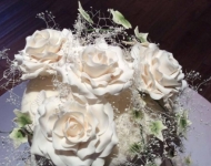 11921687_904320519642931_4599922353189212146_n