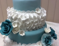 12509262_976831269058522_5955486825530225334_n