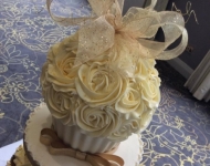 13178613_1063559243719057_967962788994162766_n