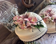 13445806_1086349051440076_1595186612968783853_n