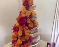 13728978_1116385015103146_9080722081800600849_n