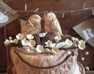 15492178_1286753138066332_5949188977724058344_n