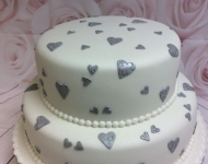 18274831_1477883598953284_8725927428144945108_n