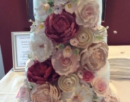 19224872_1531644016910575_8771334972488562573_n