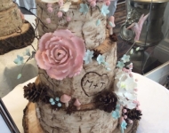 20994186_1615077168567259_6588791347463676730_n