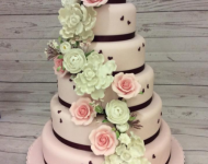 26731095_1792358380839136_7011825562910617316_n