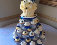 36739845_2036823959725909_5131848219155759104_n