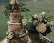 38446648_2094472547294383_211283704876630016_n